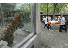 ... � ���� ������ �� ������ ...