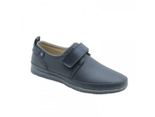 ������� 31(20��),  ���� 850 ���