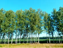 20210717 ����� ��� ������� 0759.jpg