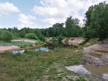 IMG 20210705 103037.jpg