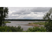 IMG 20210703 123051.jpg