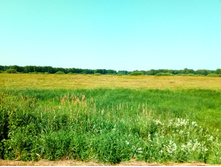 20210710 ������������� ���� 0825.jpg