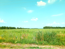 20210710 ������������� ���� 0929.jpg