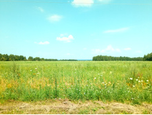 20210710 ������������� ���� 0930.jpg