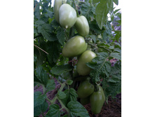 IMG 20210716 044506.jpg