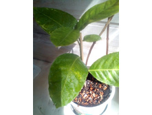 IMG 20210710 145107.jpg