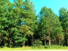 20210717 ����� ��� ������� 0817.jpg