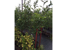 ����������� viber 2021-07-21 14-12-50-587.jpg