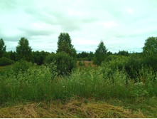 20210703 �600 ���������������� 123956.jpg