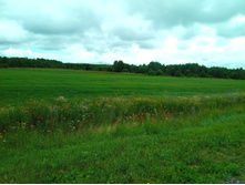 20210703 �600 ���������������� 100205.jpg