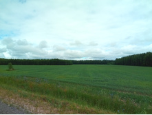 20210703 �600 ���������������� 102308.jpg