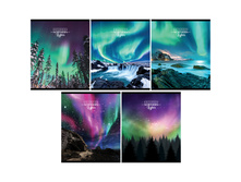 ������� 48�., �5, ������ ���� �������� ������ , �������� �������, ���������� ����-���, ������� 29235 ���� 43,02 + 7 ��.jpg