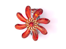 �������� ��� ����