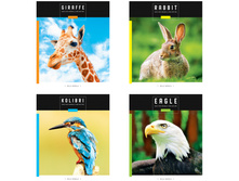 ������� 48�., �5, ������ ArtSpace ��������. Save wild world �48� 29620 ���� 23,89 +9 ��.jpg