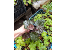 ����������� viber 2021-07-02 07-02-30-710.jpg