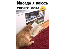 ������ �� ���-�� ����������� ���� ���Σ� ...