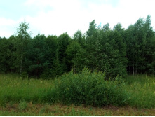 20210703 �600 ���������������� 143000.jpg