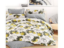 ������ ������ ���� 220 ��