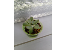 IMG 20210727 145731[5].jpg