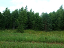 20210703 �600 ���������������� 142957.jpg