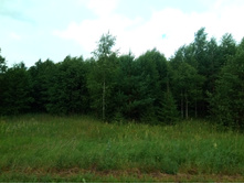 20210703 �600 ���������������� 143001.jpg