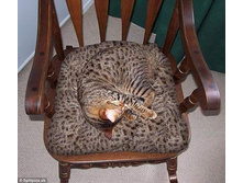 ����� ����!