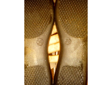 IMG 20210718 180515809.jpg