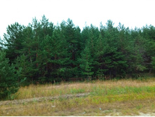 20210703 �600 ���������������� 072546.jpg