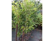 ����������� viber 2021-07-21 14-11-05-625.jpg