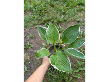 ����������� viber 2021-07-02 07-01-56-249.jpg