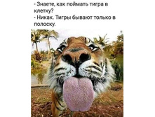 ������ ��� ������� ����� � ������? �����. ����� ������ ������ � �������.