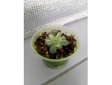 IMG 20210727 150004[1].jpg