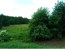 20210704 �600 ���������������� 072618.jpg