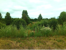 20210703 �600 ���������������� 123955.jpg