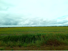 20210704 �600 ���������������� 080605.jpg