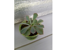 IMG 20210727 150348[1].jpg