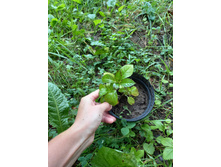 ����������� viber 2021-07-02 07-04-17-606.jpg