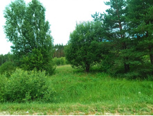 20210703 �600 ���������������� 102227.jpg