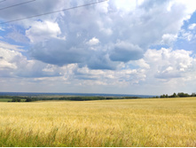 IMG 20210710 112224-01.jpeg