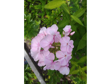 ����� ��������� ����.