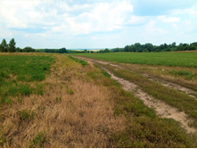 20210710 ������������� ���� 1055.jpg