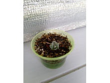 IMG 20210727 145939[1].jpg