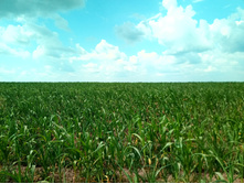 20210710 ������������� ���� 1044.jpg