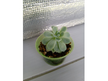 IMG 20210727 145803[1].jpg