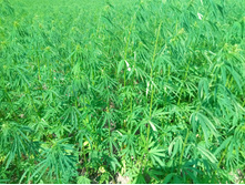 20210710 ������������� ���� 1322.jpg