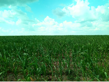 20210710 ������������� ���� 1045.jpg