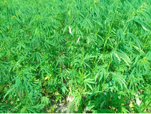 20210710 ������������� ���� 1324.jpg