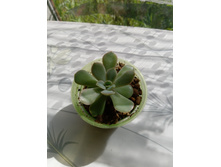 IMG 20210727 145649[2].jpg