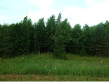 20210703 �600 ���������������� 142958.jpg