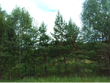 20210703 �600 ���������������� 102235.jpg